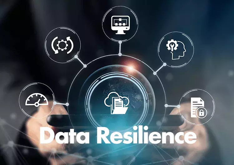 How Blockchain Enhances Data Resilience in Government Systems